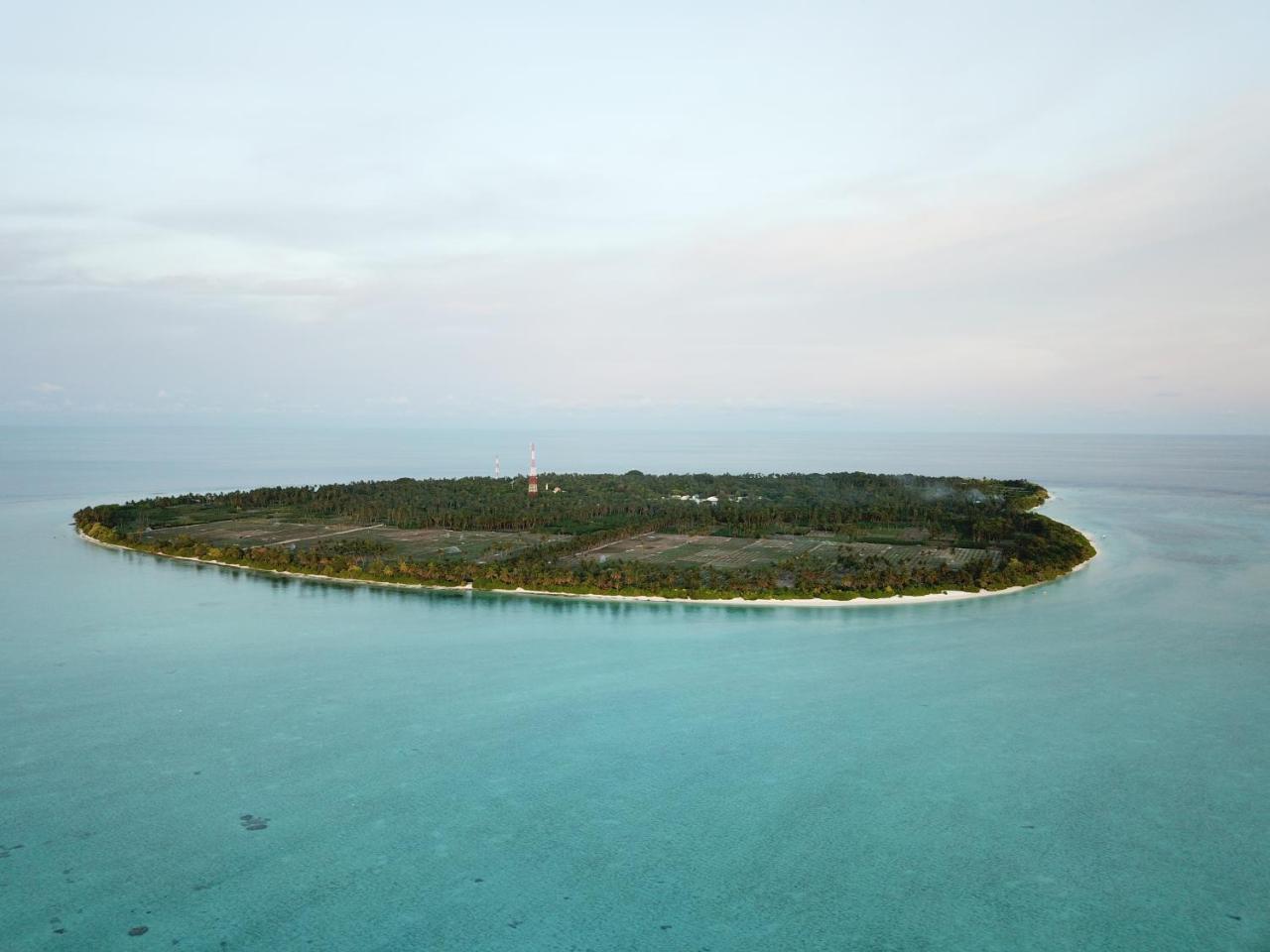 Amazing View Guest House Тодду Экстерьер фото